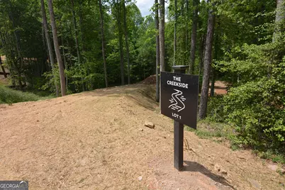 Lot 1 Murphy Hwy (Spur 60), Mineral Bluff, GA 30559 - Photo 13