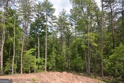 Lot 3 Murphy Hwy (Spur 60), Mineral Bluff, GA 30559 - Photo 13