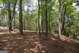 Lot 5 Murphy Hwy (Spur 60), Mineral Bluff, GA 30559 - Photo 15