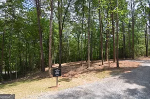 Lot 5 Murphy Hwy (Spur 60), Mineral Bluff, GA 30559 - Photo 13