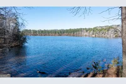 1003 Mickleton Lane, Peachtree City, GA 30269 - Photo 131