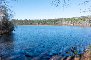 1003 Mickleton Ln, Peachtree City, GA 30269 - Photo 131