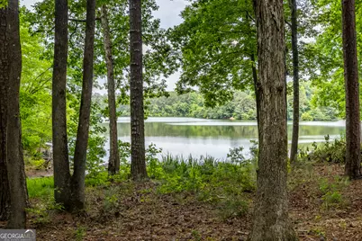 1003 Mickleton Lane, Peachtree City, GA 30269 - Photo 3