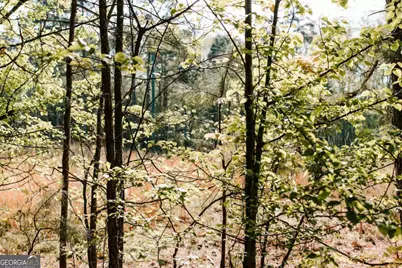 252 &amp; 254 Fritz Mar Ln, Athens, GA 30607 - Photo 7