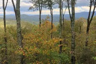 772 Double Knob Rd, Ellijay, GA 30540 - Photo 79
