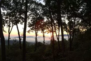 772 Double Knob Rd, Ellijay, GA 30540 - Photo 71