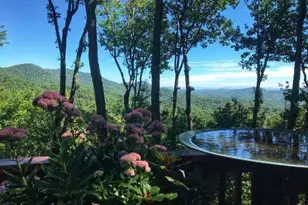 772 Double Knob Rd, Ellijay, GA 30540 - Photo 3