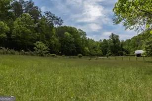 328 Black Ankle Creek Rd, Cherry Log, GA 30522 - Photo 75