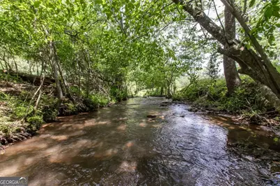 328 Black Ankle Creek Road, Cherry Log, GA 30522 - Photo 73
