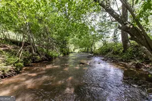 328 Black Ankle Creek Rd, Cherry Log, GA 30522 - Photo 73