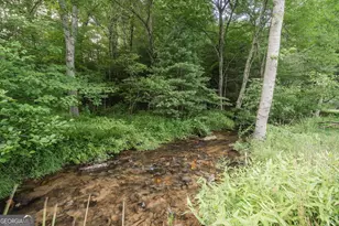 328 Black Ankle Creek Rd, Cherry Log, GA 30522 - Photo 93
