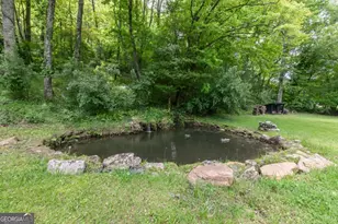 328 Black Ankle Creek Rd, Cherry Log, GA 30522 - Photo 69