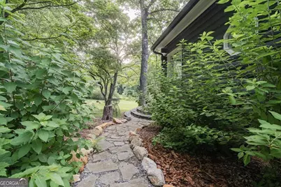 328 Black Ankle Creek Road, Cherry Log, GA 30522 - Photo 87