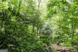 328 Black Ankle Creek Rd, Cherry Log, GA 30522 - Photo 77