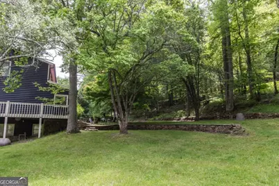 328 Black Ankle Creek Road, Cherry Log, GA 30522 - Photo 71