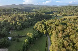 328 Black Ankle Creek Rd, Cherry Log, GA 30522 - Photo 65