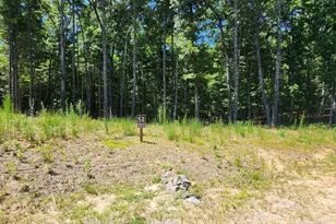 51 Ridge Dr, Morganton, GA 30560 - Photo 1