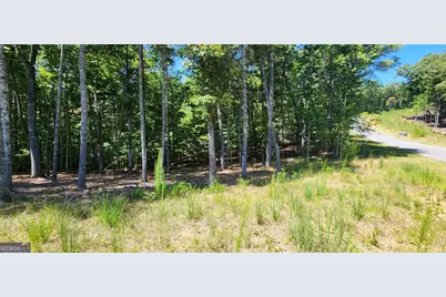 51 Ridge Drive, Morganton, GA 30560 - Photo 3