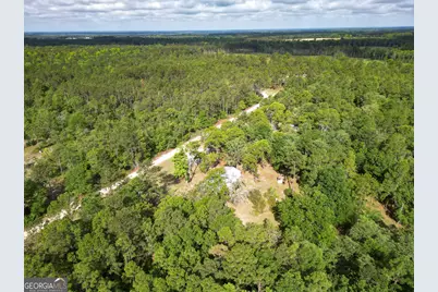 110 Douglas Loop, Rocky Ford, GA 30455 - Photo 43