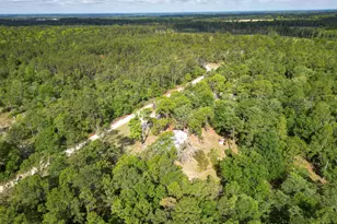 110 Douglas Loop, Rocky Ford, GA 30455 - Photo 43