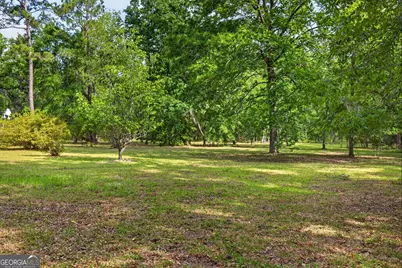 110 Douglas Loop, Rocky Ford, GA 30455 - Photo 3