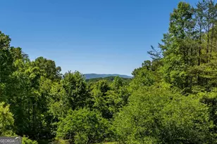 229 Old Mill Pond Rd, Mineral Bluff, GA 30559 - Photo 51