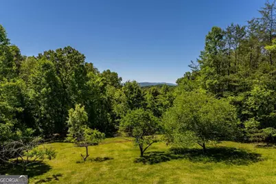 229 Old Mill Pond Road, Mineral Bluff, GA 30559 - Photo 53