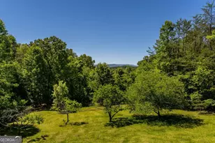 229 Old Mill Pond Rd, Mineral Bluff, GA 30559 - Photo 53