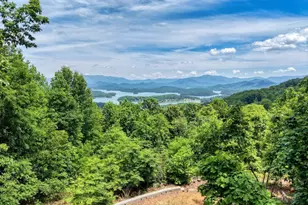860 Ramey Mountain Rd, Hiawassee, GA 30546 - Photo 35