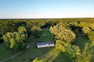 3366 Stafford Dairy Road SE, Ludowici, GA 31316 - Photo 3