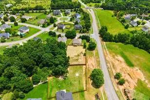 9001 Dawes Crossing, McDonough, GA 30252 - Photo 11