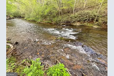 Lot 5 Spiva Cove, Blairsville, GA 30512 - Photo 33