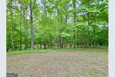 Lot 5 Spiva Cove, Blairsville, GA 30512 - Photo 15
