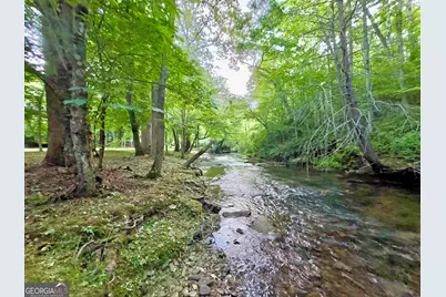Lot 5 Spiva Cove, Blairsville, GA 30512 - Photo 31