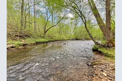 Lot 5 Spiva Cove, Blairsville, GA 30512 - Photo 1