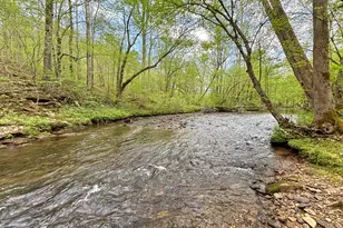 Lot 5 Spiva Cove, Blairsville, GA 30512 - Photo 1