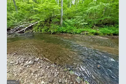 Lot 5 Spiva Cove, Blairsville, GA 30512 - Photo 35