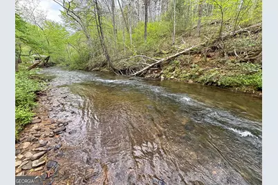 Lot 5 Spiva Cove, Blairsville, GA 30512 - Photo 9