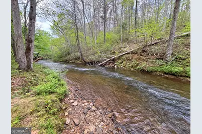 Lot 5 Spiva Cove, Blairsville, GA 30512 - Photo 39