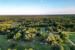 3276 Stafford Dairy Road SE, Ludowici, GA 31316 - Photo 3