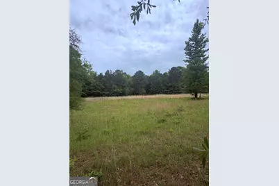 0 Primrose Circle, Greenville, GA 30222 - Photo 11