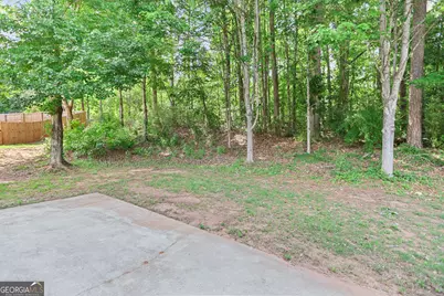 11 Winter Lane, Newnan, GA 30265 - Photo 45