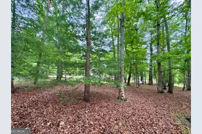 28 Rothgeb Ridge Road, Blairsville, GA 30512 - Photo 65