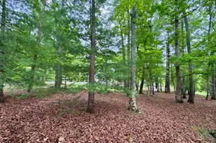 28 Rothgeb Ridge Rd, Blairsville, GA 30512 - Photo 65