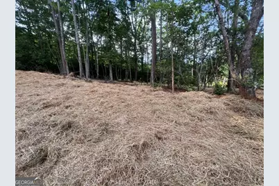 253 Fox Valley Road, Clarkesville, GA 30523 - Photo 5