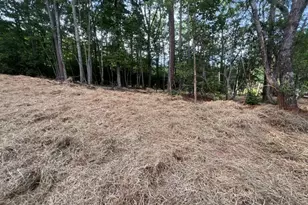 253 Fox Valley Rd, Clarkesville, GA 30523 - Photo 5