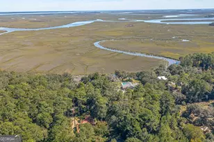 1288 Old Cane Ml Dr SE, Darien, GA 31305 - Photo 41
