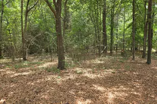 6045 Cara Dr, Macon, GA 31216 - Photo 1