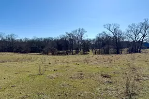 1120 Kansas Jake Rd, Waco, GA 30182 - Photo 31