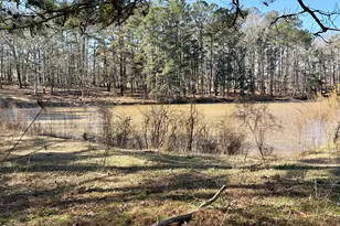 1120 Kansas Jake Rd, Waco, GA 30182 - Photo 29